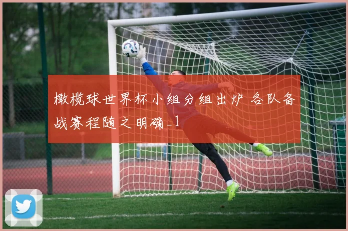 橄榄球世界杯小组分组出炉 各队备战赛程随之明确_1