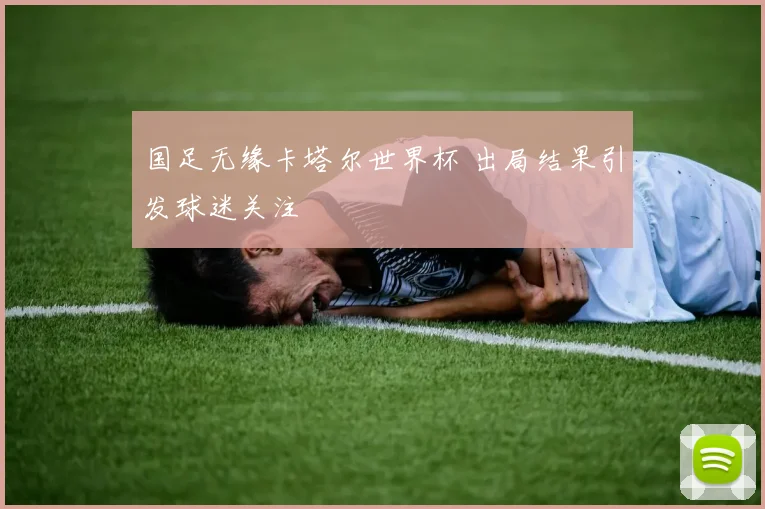 国足无缘卡塔尔世界杯 出局结果引发球迷关注