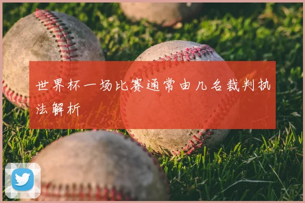 世界杯一场比赛通常由几名裁判执法解析