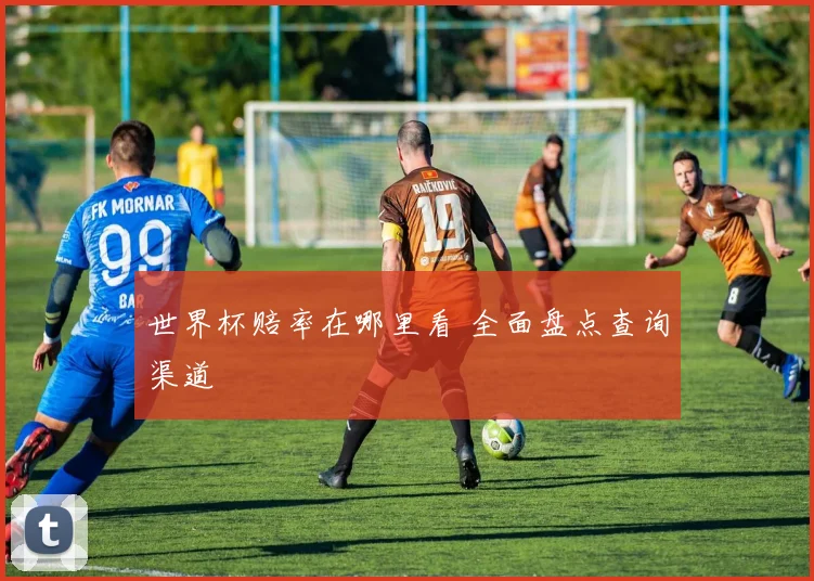 世界杯赔率在哪里看 全面盘点查询渠道