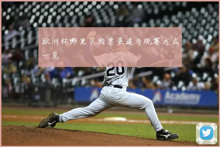 欧洲杯哪里买购票渠道与观赛方式一览